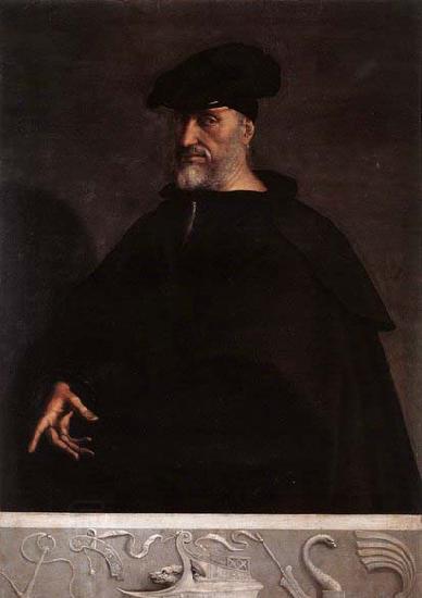 Sebastiano del Piombo Portrait of Andrea Doria oil painting picture